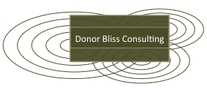 Donor Bliss Consulting